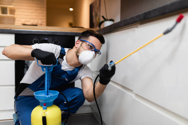  North Fair Oaks, CA Pest Control Pros