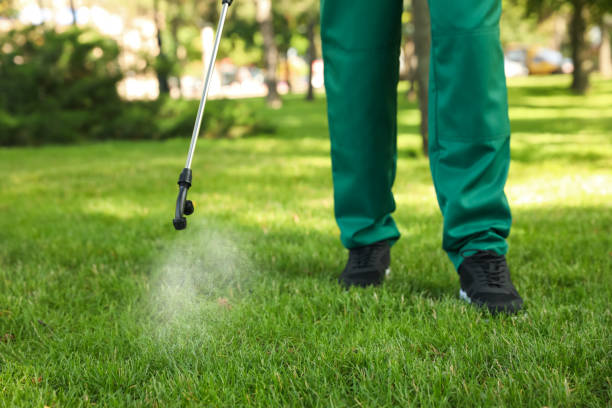 Trusted North Fair Oaks, CA Pest Control Experts