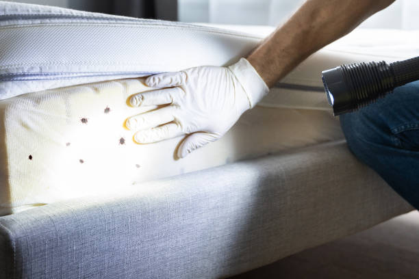 Best Pest Inspection Near Me  in North Fair Oaks, CA